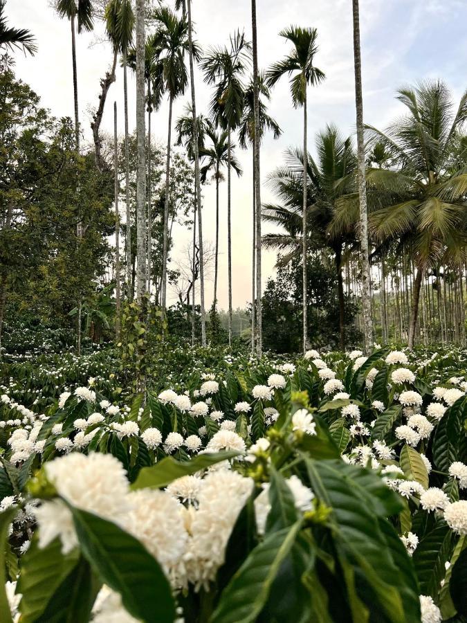 Green Castle Gonikoppal ภายนอก รูปภาพ