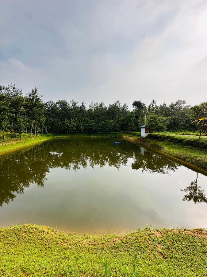 Green Castle Gonikoppal ภายนอก รูปภาพ